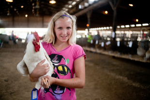 Regina Rudy a 7th grader from Princeville and her ‘White Giant’ rooster.  
She is showing her rooster at the Peoria County 4-H Show, this is her 9th year to do so.