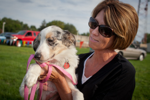 Laurie Bushell has been part of the Foster Pet Outreach in Peoria for 4 years, since her kids left home. 
 She is with Izzy, her 6 month old Australian Shepherd, at the 