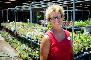 Tamera Hayes is the Lawn and Garden Mgr. at Ace Hardware.
After working 25 years in the Dental Business, she is following her passion, gardening. 
'It is very rewarding, I love it' she said.
