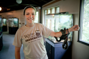 Calli Smith works part-time at Wildlife Prairie State Park. She recently graduated from the University of Missouri with a degree in biology and hopes to become full-time.  She is very dedicated and wants to help the park accomplish its goals.