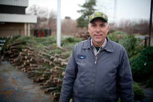 Jan Wolosek cuts 10,000 Christmas trees every year from his farm in Wisconsin Rapids, WI.  
He wholesales most of them and then he loads up and heads to Peoria, IL.  
He sets up in the Nena Hardware parking lot, where he has built a loyal clientele over the last 25 years.