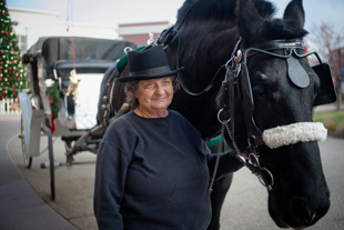 Joanne McTaggart has been doing the carriage rides at Grand Prairie mall for 25 years.  But this is her last year though she enjoys all the people, she is ready to retire.  Joker, her draft horse, will be back next year with someone else behind the reins.