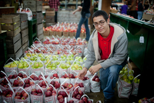 Carlos Pretado of Kewanee, IL works at Tanner Orchard. He likes the weekend hours 
because he can work around school. Due to the frost this spring, there are no apples to pick this year, 
but there are plenty available inside. Carlos likes the Honey Crisp variety.