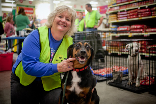 Patti Kelton is an Adoption Volunteer for A.R.K., a no kill animal shelter in Lacon, IL. Today they are adopting dogs 
at PetsMart,  other times she is a Clinical Research Monitor and travels a lot for work. 
Helping animals find a ‘forever home’ is very rewarding she said.