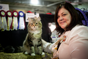 Kim McDaniel with her Siberian Cat, Kehryli, which is Finnish for ‘purrs all the time’. 
They are at the American Gothic Cat Club Show. Kim is from Indianapolis and travels to cat shows 
all over the country. Kehryli is a Grand Champion and Regional Champion Cat.